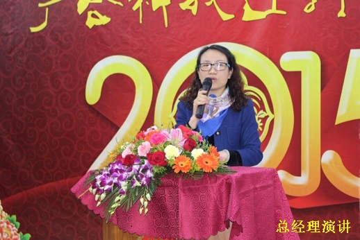 2015年金年会科技迎春晚宴